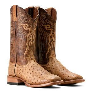 Rio in Honey Tan Full Quill Ostrich
