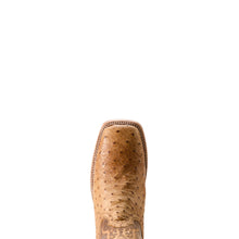 Rio in Honey Tan Full Quill Ostrich